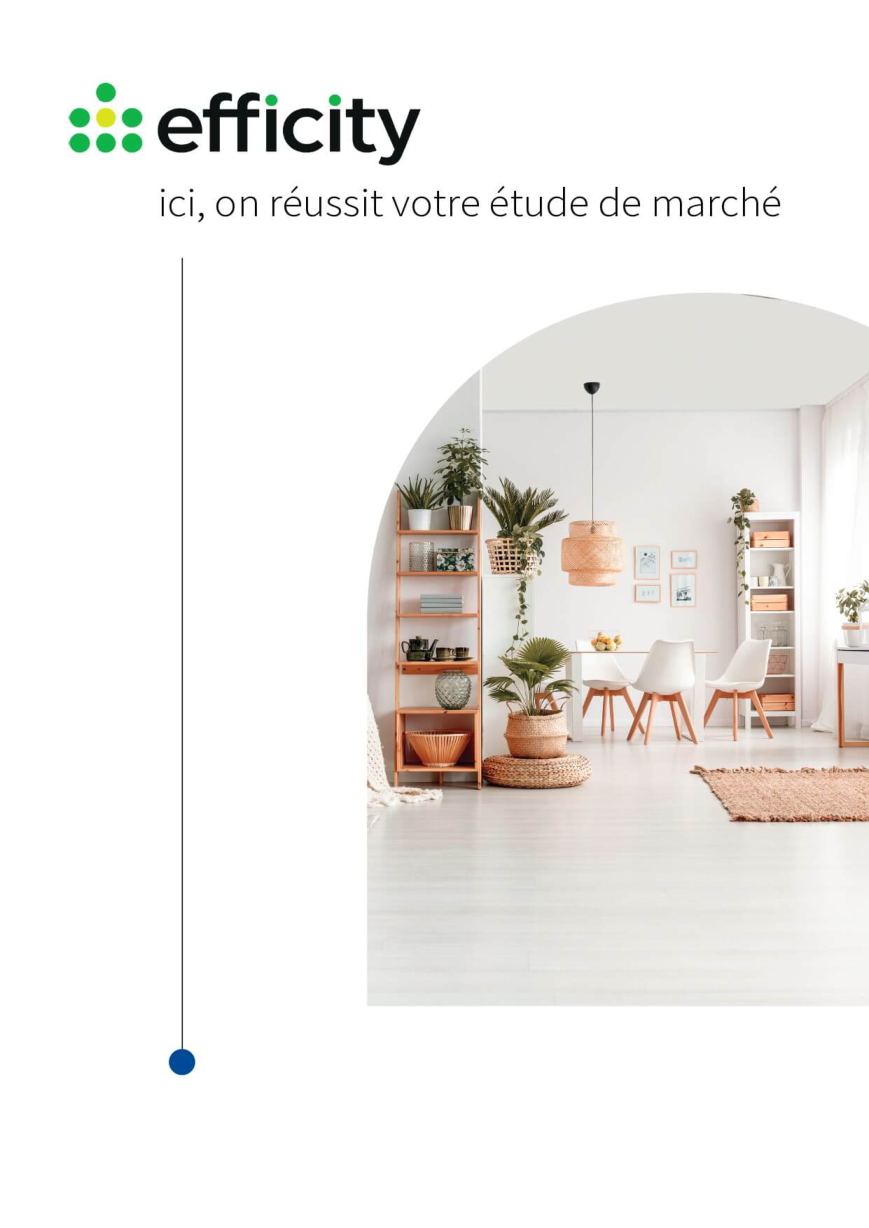 Couverture de l'étude de marché Efficity
